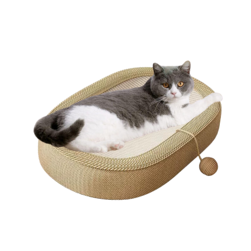 Buy Small Cat Toys - The Purrfect Collection