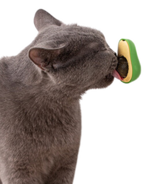 Avocado Catnip Ball