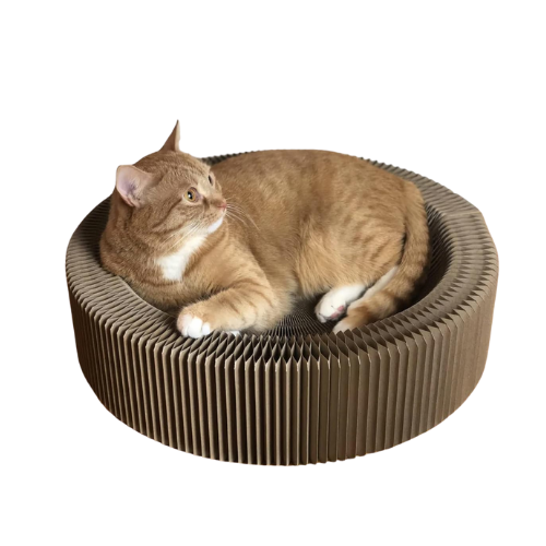 large cat bed accordion cardboard