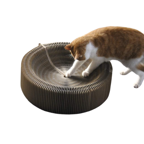 large cat bed accordion cardboard