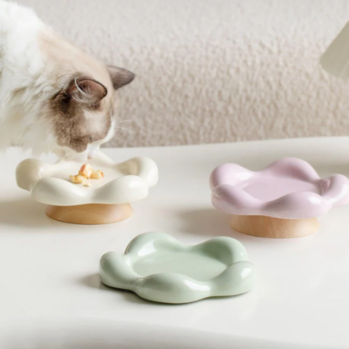 ceramic bowl for cats