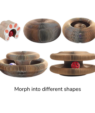 Foldable Accordion Interactive Toy with Ball