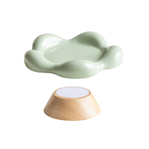 ceramic bowl for cats